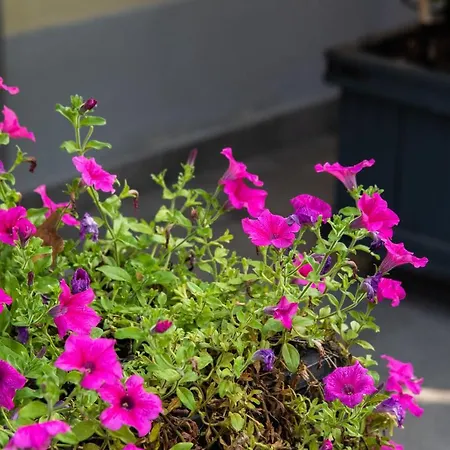 Bed & Breakfast La Fonderia Florens